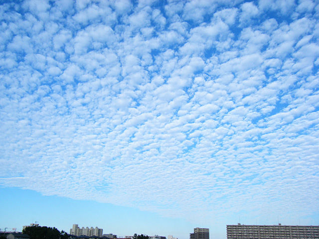 uroko.jpg 640×480 174K