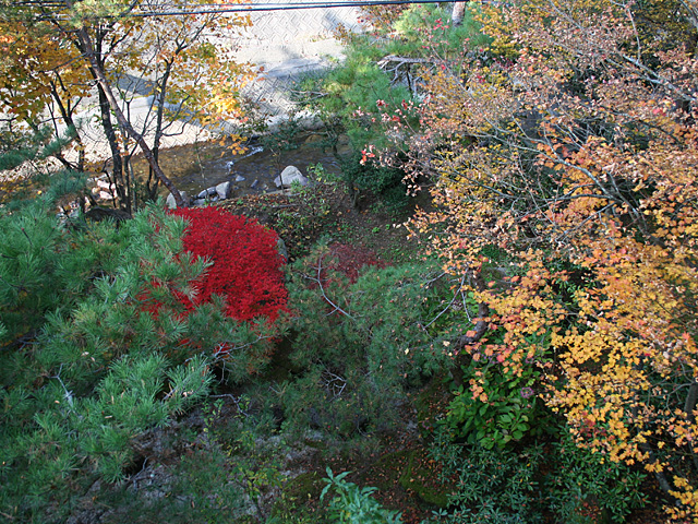 mb_1031144818.jpg 640×480 311K