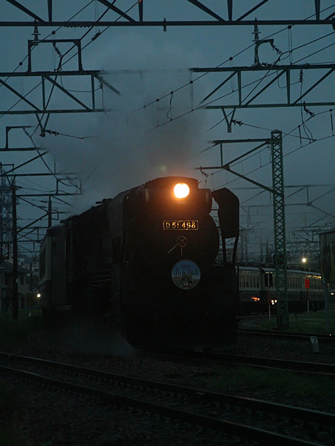 d51dis.jpg 480×640 122K