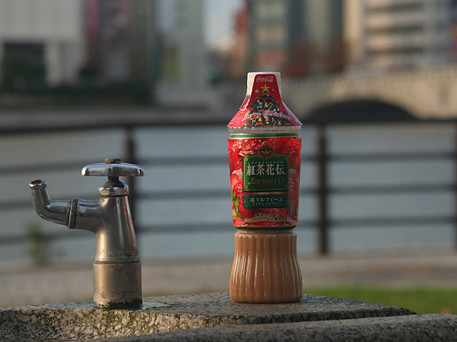 kamil.jpg 640×480 109K