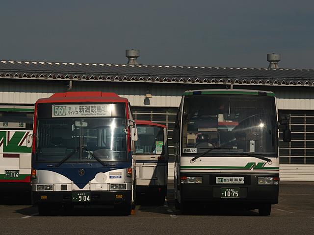 lim2.jpg 640×480 130K