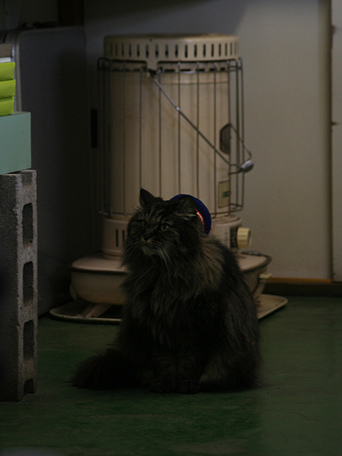 mb_0104203022.jpg 480×640 87K