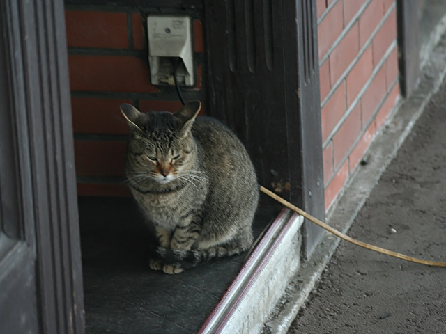 mb_0222205131.jpg 640×480 113K