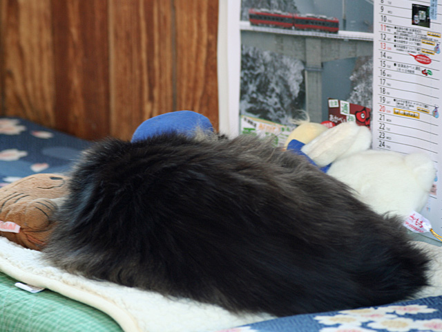 mb_0301144839.jpg 640×480 127K