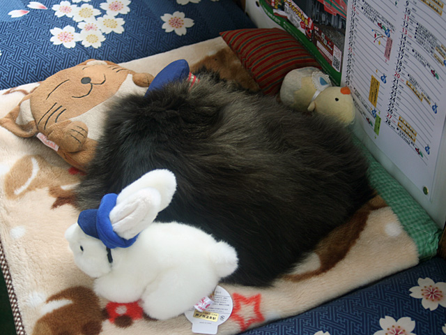 nuko_2011_1.jpg 640×480 156K