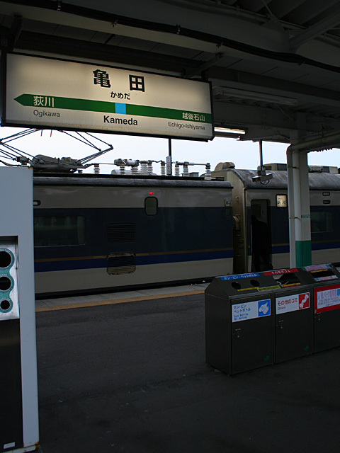 583_kame.jpg 480×640 116K