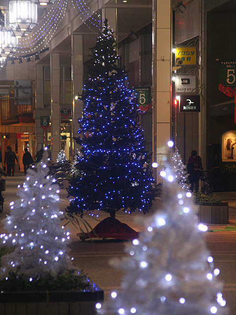 f5_12.jpg 480×640 177K