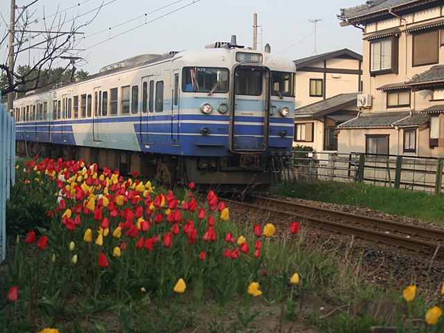 gw_1_1.jpg 640×480 191K