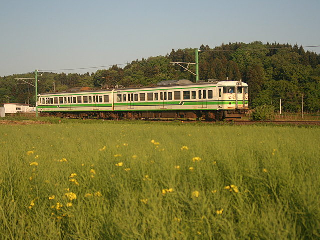 hono_1.jpg 640×480 167K