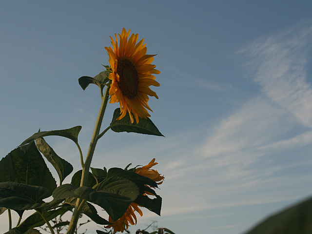 itai.jpg 640×480 96K