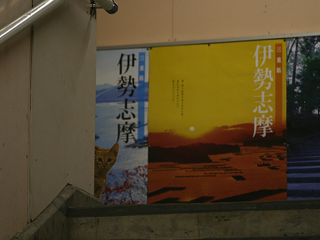 u_nuko.jpg 640×480 102K