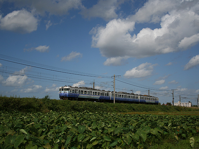 1336m_10.jpg 640×480 146K