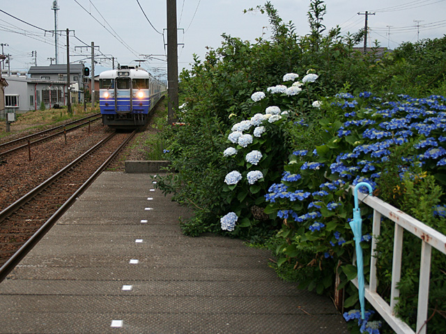 449m_20120701.jpg 640×480 215K