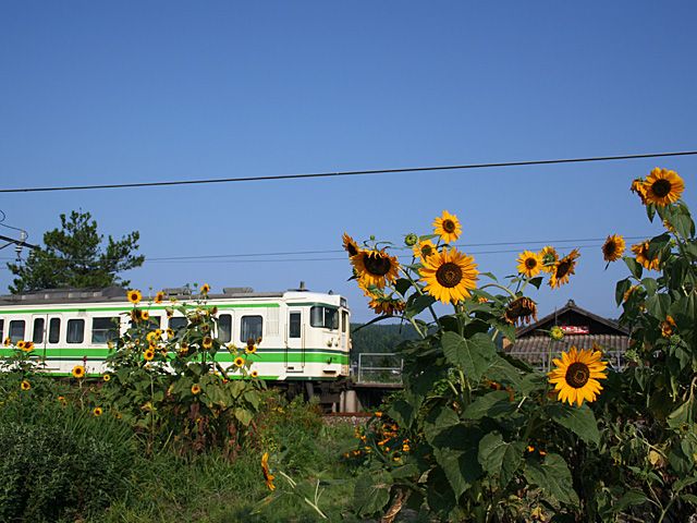 ec_mhj_8.jpg 640×480 177K