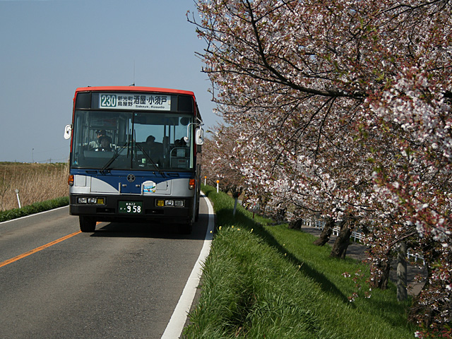 g958_4.jpg 640×480 224K