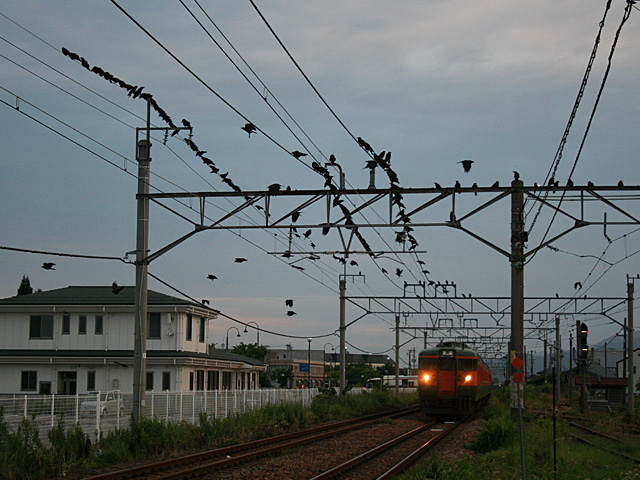 944m_8.jpg 640×480 154K