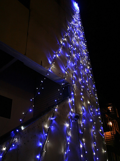 iwasta.jpg 480×640 131K