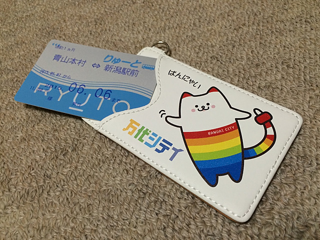 nyai_pass_1.jpg 640×480 187K